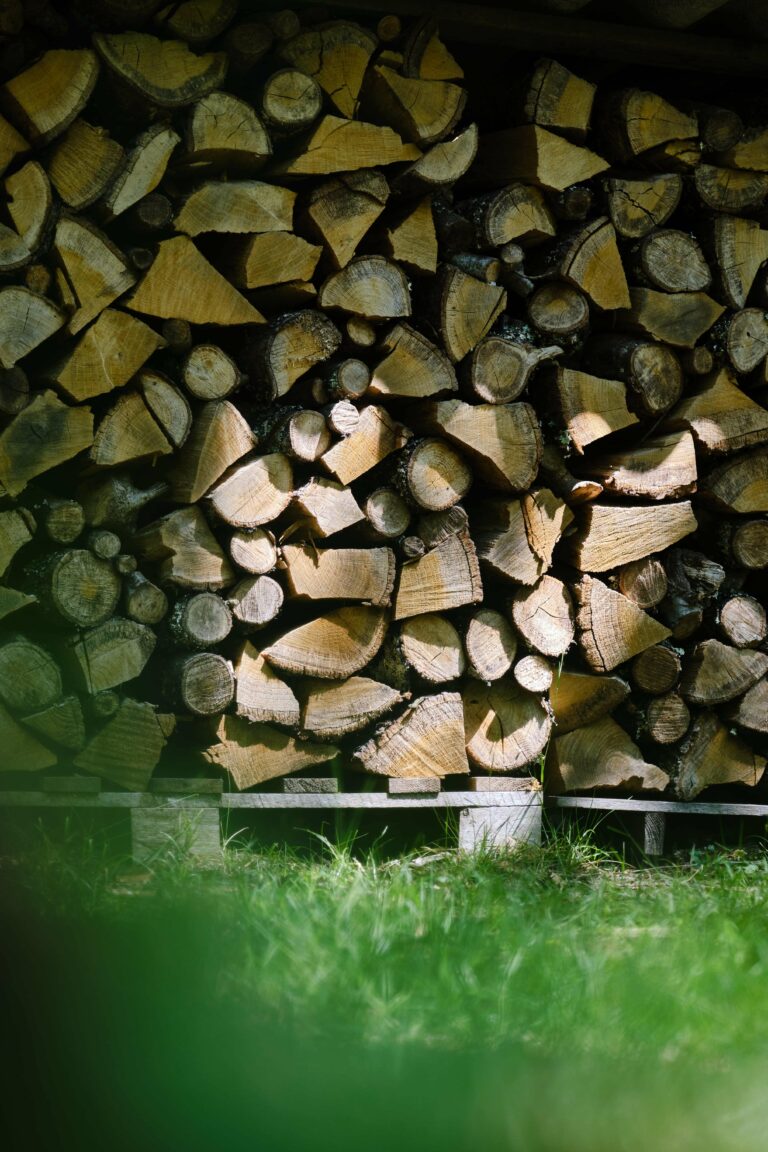 Détail Airial Du Branasse Seignosse - Les Maisons Escapia