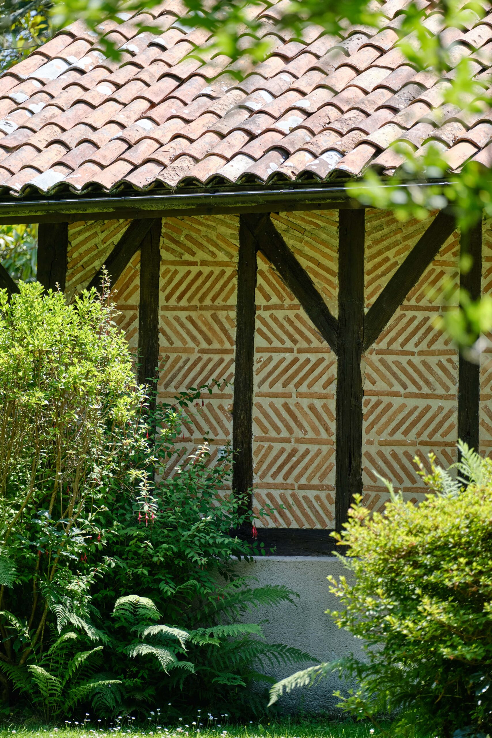 Détail Airial Du Branasse Seignosse - Les Maisons Escapia